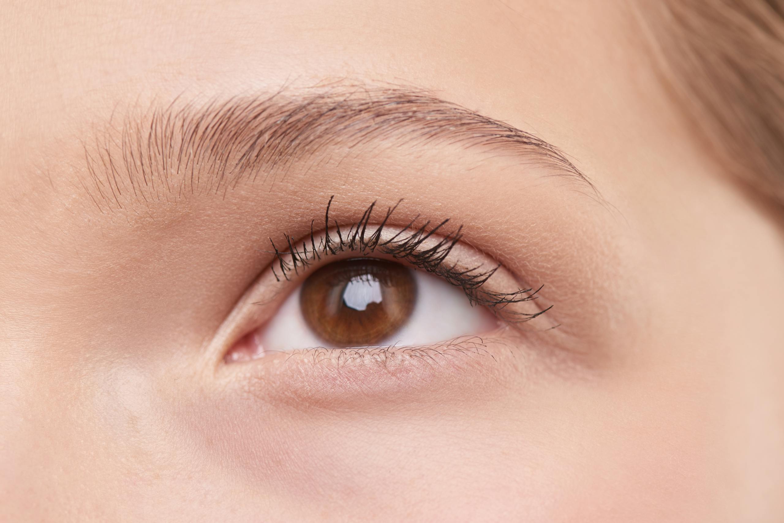 Levantamiento de Cejas